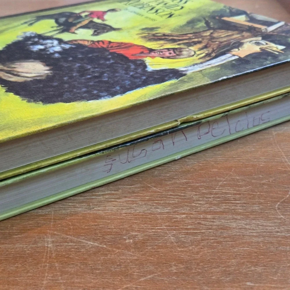 Classic Press Books Swiss Family Robinson Robin Hood Set 2
Vtg Hardcover Books - Picture 5 of 16